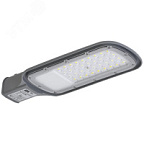 Светильник уличный светодиодный ДКУ 1012-30Ш 5000К IP65 серый ВИА